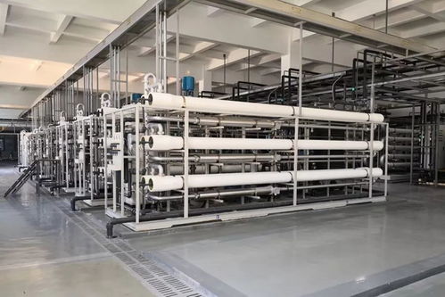 長沙固體廢棄物垃圾處理廠污水日處理總規(guī)模3700立方與羊肚菌滅菌器的環(huán)保協(xié)同應(yīng)用