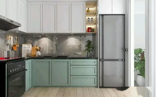 整體櫥柜新風尚 拼色設(shè)計與滅菌鍋爐功能的完美融合