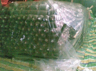 從企業黃頁到專業平臺 解析香菇滅菌鍋爐與滅菌方柜的生產與應用